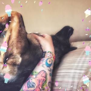 Meet your Posher, Melissa